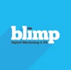 Blimp logo