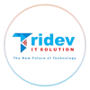 Tridev IT Solution Pvt. Ltd. logo