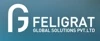 Feligrat Global Solutions Pvt. Ltd. logo