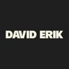 David Erik logo