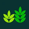 Reestify logo