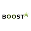 BOOST STAR Experts logo
