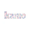 Kamo Digital Solutions logo