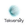 Tekversify logo