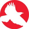 Red Hawk Technologies logo