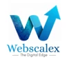WebScaleX logo