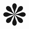 Pollen Labs logo