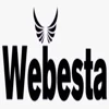 Webesta Solutions logo