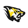 Digitalrooar logo
