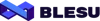 Blesu logo