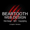 Beartooth Web Design LLC logo
