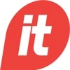 Professional IT Services logo
