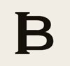 Brinvik logo
