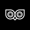 Owlvision logo