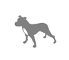 Grey Dog logo