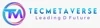 TecMetaverse logo