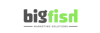 Bigfish Marketing Solutions logo