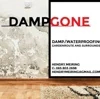 Damp Gone logo