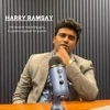 Harry Ramsay logo