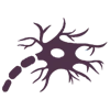 Neurit.net logo