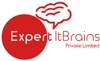 Expert IT Brains logo