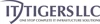 IT TIGERS LLC logo