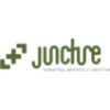 Juncture logo