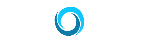 Infolitz Software Private Limited logo