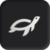 Turtles Web logo