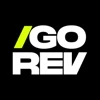 Igorev Agency logo