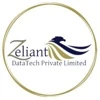 Zeliant DataTech {Data Entry India} logo