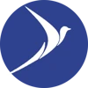 Bluenest logo