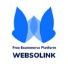 Websolink logo
