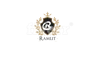 Ramlit Limited logo