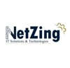 Netzing logo