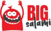 Big Salami Ltd. logo