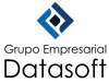 Datasoft logo