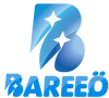 Bareeq logo