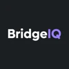 BridgeIQ logo