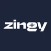 zingy projects logo