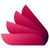 Dream Webs logo