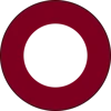 paragonik logo