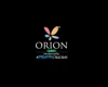 Orion LED logo
