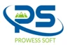Prowess Software Services PVT LTD logo