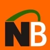 Nectar Bridge logo
