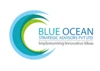 Blue Ocean Strategic Advisors logo