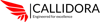Callidora Technologies (Private) Limited logo