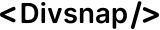 Divsnap logo