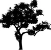 Warren Christopher logo