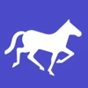 Nomadic Soft LLC logo